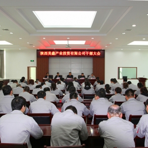 F(tun)˾ι˾_չ(qing)h(yn)o(j)ɡٰl(f)չ(xing)