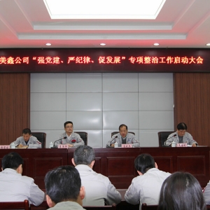 ˾Ѹن(dng)(qing)h(yn)o(j)ٰl(f)չ (xing)ι