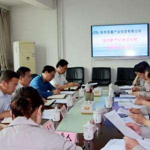 ˾_(qing)h(yn)o(j)ɡٰl(f)չ(xing)I(lng)(do)ӌ}(hu)