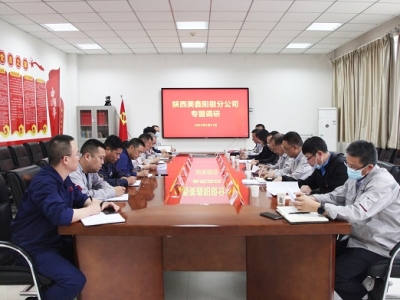 ɫټFhίίT(jng)۵˾{(dio)