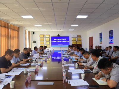 _ȫa(chn)ƪ¡VI(y)˾ұƺúVͨ^ܻV